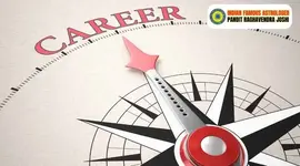 Career Guidance